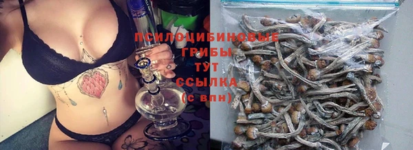 таблы Верея