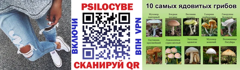 Купить  Торопец  Галлюциногенные грибы мицелий 