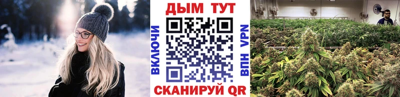 Купить где  Торопец  Марихуана конопля 